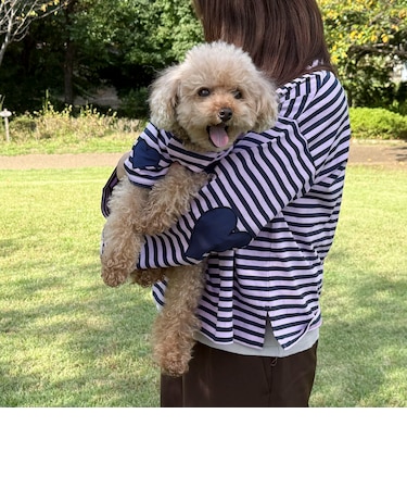 【FR PETS】ボーダーハートパッチプルオーバー