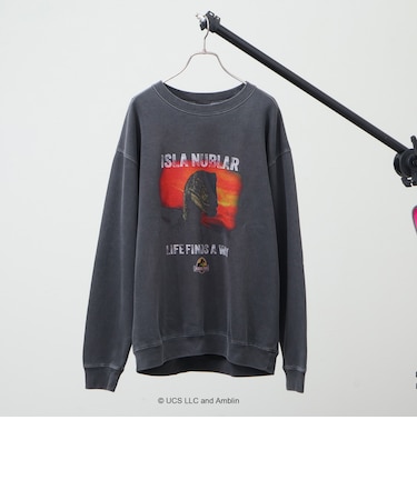 【SCREEN STARS/スクリーンスターズ】JURASSIC PARK 裏起毛スウェット