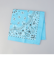 HAV-A-HANK（ハバハンク）ペイズリーバンダナ2WAYエコバッグ／ハンドバッグ