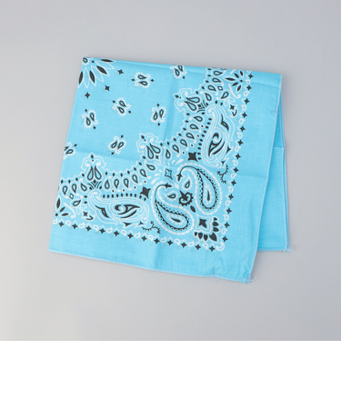 HAV-A-HANK（ハバハンク）ペイズリーバンダナ2WAYエコバッグ／ハンドバッグ