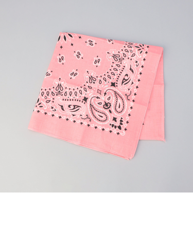 HAV-A-HANK（ハバハンク）ペイズリーバンダナ2WAYエコバッグ／ハンドバッグ