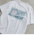 Coleman（コールマン）別注グラフィックTシャツ（WEB限定カラー）