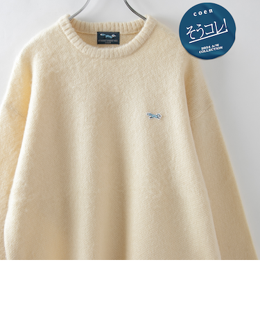 垢抜け ワンポイントニット/Penneys（ぺニーズ）別注シャギークルーネックニット