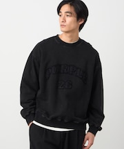 フロストアップリケ裏毛プルオーバー