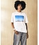スビンプラチナム天竺 フォトプリントTシャツ
