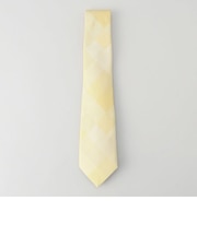 ブロックチェック　タイ