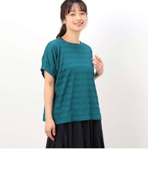 シアーボーダー　ドルマンスリーブＴシャツ