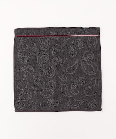 ペイズリー柄 タオルハンカチ