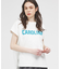 【MICA&DEAL × STAR&STRIPE】CAROLINA ロゴTシャツ