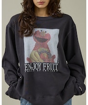 【FRUIT OF THE LOOM/フルーツ オブ ザ ルーム】SESAMIS