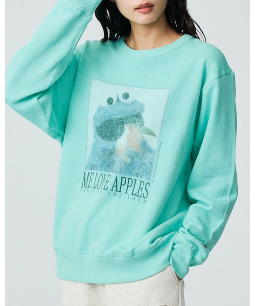 【FRUIT OF THE LOOM/フルーツ オブ ザ ルーム】SESAMIS