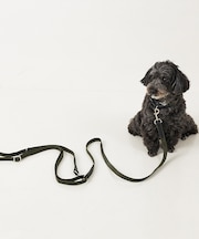 MATIE/リードLong/ハンズフリーリード【Direction by 有末