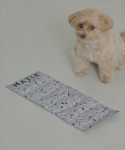 MATIE/ 保冷ジェルマット/スリング対応【Direction by  有末