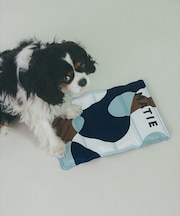 MATIE/ 保冷ジェルマットL/ペットリュック対応【Direction by