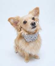 【MATIE】ネッククーラー/Mサイズ/保冷剤付き【Direction by 有