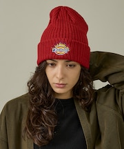 【Dickies / ディッキーズ】EX FIRE LOGO KNIT WATC