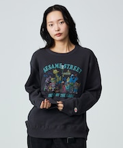 【FRUIT OF THE LOOM】ロングスリーブ甘編み裏毛1/スウェット【W