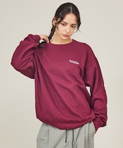 【FRUIT OF THE LOOM】PRINT SWEAT4/ロゴプリント/ユ