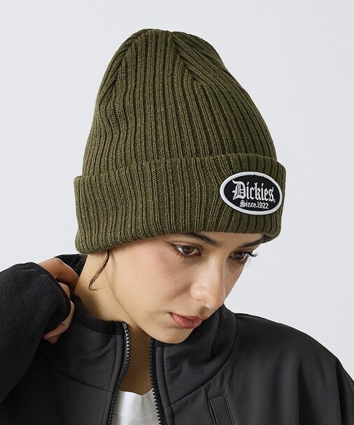 【Dickies / ディッキーズ】BLOCK FONT WAPPEN WATC