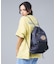 【DICKIES/ディッキーズ】ICON LOGO KNAPSACK / アイコ