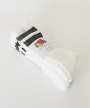 【FRUIT OF THE LOOM/フルーツ・オブ・ザ・ルーム】 3P2ライン