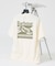 【Barbour / バブアー】 MTS1611 CAMBER T/バックプリン