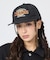 【Dickies / ディッキーズ】EX VINTAGE LIKE LOGO C