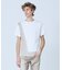 【L-Line】半袖 Tシャツ