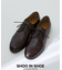 【SHOO IN SHOE】スタンダード プレーントゥ シューズ 一部店舗＋WE