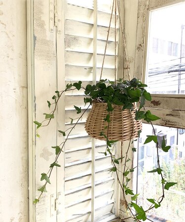 柳ハンギングポットカバー3号