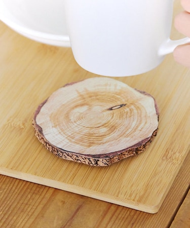 切り株コースター