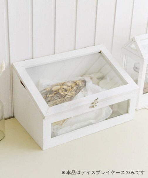 WEB限定ガラスディスプレイボックス