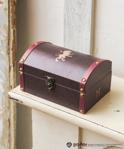 トレジャーボックス／Harry Potter×salut!