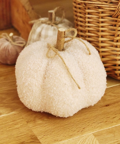 かぼちゃ プードルボアかぼちゃ：L／natural halloween｜サリュの通販