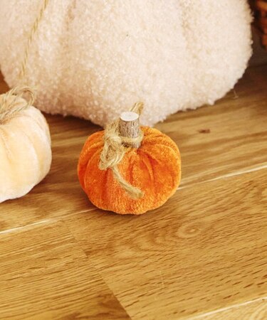 ベロアかぼちゃ：SS／natural halloween