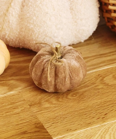 ベロアかぼちゃ：S／natural halloween