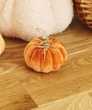 ベロアかぼちゃ：S／natural halloween