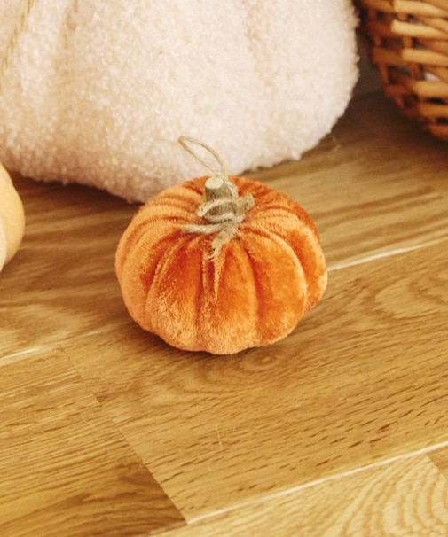 ベロアかぼちゃ：S／natural halloween