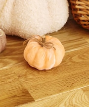 ベロアかぼちゃ：S／natural halloween