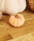 ベロアかぼちゃ：S／natural halloween