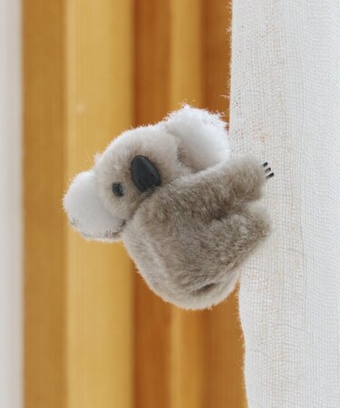 どこでもコアラ