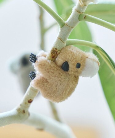 どこでもコアラ