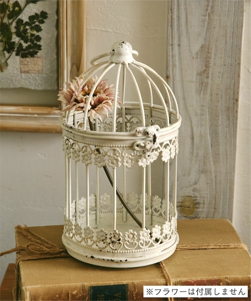 バードケージ／vieille beaut?
