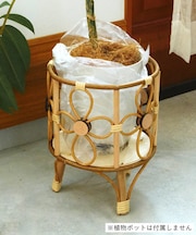 PPラタンポットスタンドフラワー：L