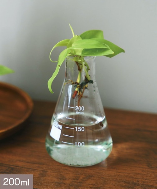 三角フラスコ：200ml／SCIENCE