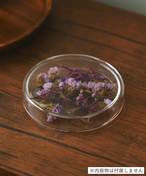 シャーレ：L／SCIENCE