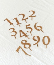 《WEB限定再入荷》ナンバーピックセット/anniversary