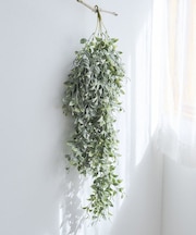 フェイクグリーンリーフ