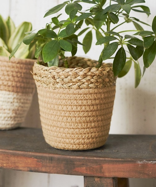 ツートンバスケット：S