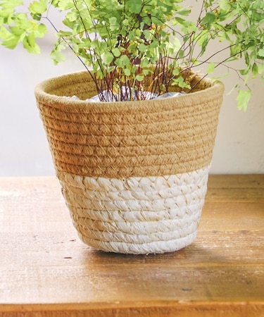 ツートンバスケット：M